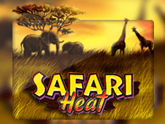 Safari Heat game icon